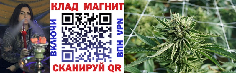 Купить закладку MDMA  Кетамин  Псилоцибиновые грибы  Марихуана  ГАШИШ  Кокаин  Меф  Плёс