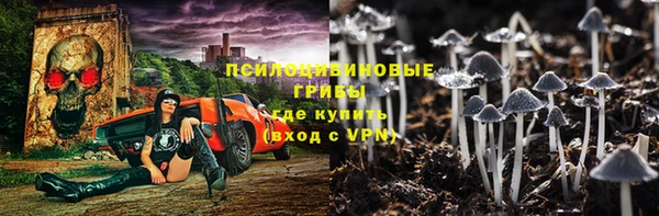 ALPHA PVP Верея