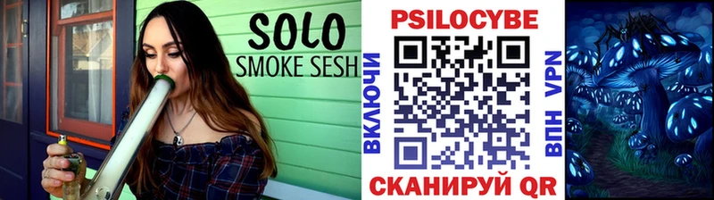 Псилоцибиновые грибы GOLDEN TEACHER Плёс